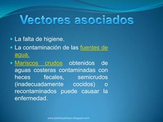  La falta de higiene.
 La contaminación de las fuentes de
  agua.
 Mariscos crudos obtenidos de
  aguas costeras contaminadas con
  heces     fecales,    semicrudos
  (inadecuadamente    cocidos)   o
  recontaminados puede causar la
  enfermedad.


               www.pedritopacheco.blogspot.com
 