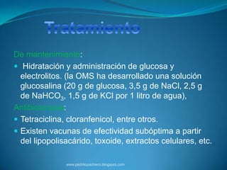 De mantenimiento:
 Hidratación y administración de glucosa y
  electrolitos. (la OMS ha desarrollado una solución
  glucosalina (20 g de glucosa, 3,5 g de NaCl, 2,5 g
  de NaHCO3, 1,5 g de KCl por 1 litro de agua),
Antibioterapia:
 Tetraciclina, cloranfenicol, entre otros.
 Existen vacunas de efectividad subóptima a partir
  del lipopolisacárido, toxoide, extractos celulares, etc.

               www.pedritopacheco.blogspot.com
 