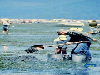 volver

www.pedritopacheco.blogspot.com
 