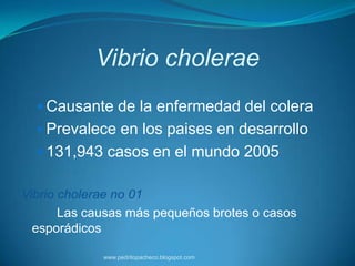 Vibrio cholerae
   Causante de la enfermedad del colera
   Prevalece en los paises en desarrollo
   131,943 casos en el mundo 2005


Vibrio cholerae no 01
       Las causas más pequeños brotes o casos
  esporádicos

             www.pedritopacheco.blogspot.com
 