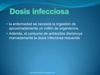 la enfermedad se necesita la ingestión de
  aproximadamente un millón de organismos.
 Además, el consumo de antiácidos disminuye
  marcadamente la dosis infecciosa requerida




              www.pedritopacheco.blogspot.com
 