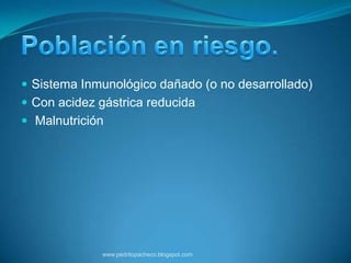  Sistema Inmunológico dañado (o no desarrollado)
 Con acidez gástrica reducida
 Malnutrición




              www.pedritopacheco.blogspot.com
 