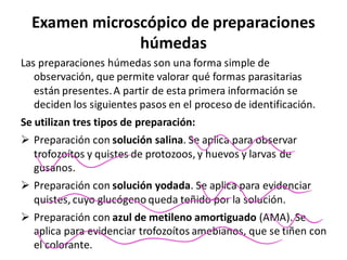 Examen microscópico de preparaciones
húmedas
Las preparaciones húmedas son una forma simple de
observación, que permite valorar qué formas parasitarias
están presentes.A partir de esta primera información se
deciden los siguientes pasos en el proceso de identificación.
Se utilizan tres tipos de preparación:
➢ Preparación con solución salina. Se aplica para observar
trofozoítos y quistes de protozoos, y huevos y larvas de
gusanos.
➢ Preparación con solución yodada. Se aplica para evidenciar
quistes, cuyo glucógeno queda teñido por la solución.
➢ Preparación con azul de metileno amortiguado (AMA). Se
aplica para evidenciar trofozoítos amebianos, que se tiñen con
el colorante.
m
-
m
-
~
~
 