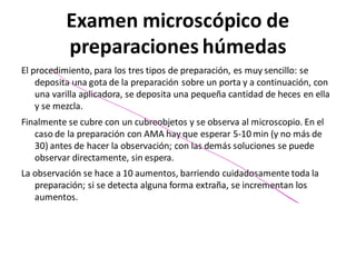 Examen microscópico de
preparaciones húmedas
El procedimiento, para los tres tipos de preparación, es muy sencillo: se
deposita una gota de la preparación sobre un porta y a continuación, con
una varilla aplicadora, se deposita una pequeña cantidad de heces en ella
y se mezcla.
Finalmente se cubre con un cubreobjetos y se observa al microscopio. En el
caso de la preparación con AMA hay que esperar 5-10 min (y no más de
30) antes de hacer la observación; con las demás soluciones se puede
observar directamente, sin espera.
La observación se hace a 10 aumentos, barriendo cuidadosamente toda la
preparación; si se detecta alguna forma extraña, se incrementan los
aumentos.
-
 