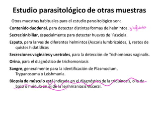 Estudio parasitológico de otras muestras
Otras muestras habituales para el estudio parasitológico son:
Contenido duodenal, para detectar distintas formas de helmintos.
Secreciónbiliar, especialmente para detectar huevos de Fasciola.
Esputo, para larvas de diferentes helmintos (Ascaris lumbricoides, ), restos de
quistes hidatídicos
Secreciones vaginalesy uretrales, para la detección de Trichomonas vaginalis.
Orina, para el diagnóstico de trichomoniasis
Sangre, generalmente para la identificación de Plasmodium,
Trypanosoma o Leishmania.
Biopsiade músculo está indicada en el diagnóstico de la triquinosis, o la de
bazo o médula en el de la leishmaniasis visceral.
y trofozoitos
~
-
 