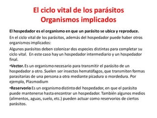 El ciclo vital de los parásitos
Organismos implicados
El hospedador es el organismo en que un parásito se ubica y reproduce.
En el ciclo vital de los parásitos, además del hospedador puede haber otros
organismos implicados:
Algunos parásitos deben colonizar dos especies distintas para completar su
ciclo vital. En este caso hay un hospedador intermediario y un hospedador
final.
•Vector.Es un organismonecesario para transmitir el parásito de un
hospedador a otro. Suelen ser insectos hematófagos, que transmiten formas
parasitarias de una persona a otra mediante picadura o mordedura. Por
ejemplo, Plasmodium
•ReservorioEs un organismodistintodel hospedador, en que el parásito
puede mantenerse hastaencontrar un hospedador. También algunos medios
(alimentos, aguas, suelo, etc.) pueden actuar como reservorios de ciertos
parásitos.
 