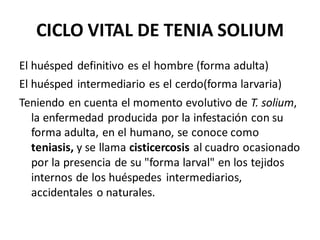 CICLO VITAL DE TENIA SOLIUM
El huésped definitivo es el hombre (forma adulta)
El huésped intermediario es el cerdo(forma larvaria)
Teniendo en cuenta el momento evolutivo de T. solium,
la enfermedad producida por la infestación con su
forma adulta, en el humano, se conoce como
teniasis, y se llama cisticercosis al cuadro ocasionado
por la presencia de su "forma larval" en los tejidos
internos de los huéspedes intermediarios,
accidentales o naturales.
 