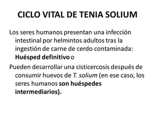 CICLO VITAL DE TENIA SOLIUM
Los seres humanos presentan una infección
intestinal por helmintos adultos tras la
ingestión de carne de cerdo contaminada:
Huésped definitivoo
Pueden desarrollar una cisticercosis después de
consumir huevos de T. solium (en ese caso, los
seres humanos son huéspedes
intermediarios).
 