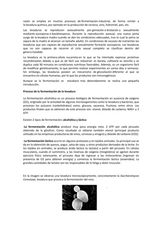 razón se emplea en muchos procesos de fermentación industrial, de forma similar a 
la levadura química, por ejemplo en la producción de cerveza, vino, hidromiel, pan, etc. 
Las levaduras se reproducen asexualmente por gemación o brotación y sexualmente 
mediante ascosporas o basidioesporas. Durante la reproducción asexual, una nueva yema 
surge de la levadura madre cuando se dan las condiciones adecuadas, tras lo cual la yema se 
separa de la madre al alcanzar un tamaño adulto. En condiciones de escasez de nutrientes las 
levaduras que son capaces de reproducirse sexualmente formarán ascosporas. Las levaduras 
que no son capaces de recorrer el ciclo sexual completo se clasifican dentro del 
género Candida. 
La levadura es la primera célula eucariota en la que se ha intentado expresar proteínas 
recombinantes debido a que es de fácil uso industrial: es barata, cultivarla es sencillo y se 
duplica cada 90 minutos en condiciones nutritivas favorables. Además, es un organismo fácil 
de modificar genéticamente, lo que permite realizar experimentos en varios días o semanas. 
Sin embargo, las levaduras poseen un mecanismo de glicosilación diferente al que se 
encuentra en células humanas, por lo que los productos son inmunogénicos. 
Aunque se la fermentación se estudiará más detenidamente se realiza una pequeña 
introducción. 
Proceso de la fermentación de la levadura 
La fermentación alcohólica es un proceso biológico de fermentación en ausencia de oxígeno 
(O2), originado por la actividad de algunos microorganismos como la levadura y bacterias, que 
procesan los azúcares (carbohidratos) como: glucosa, sacarosa, fructosa, entre otros. Los 
productos finales que se obtienen de este proceso son: etanol, dióxido de carbono, NAD+ y 2 
ATP. 
Existen 2 tipos de fermentación: alcohólica y láctica 
-La fermentación alcohólica produce muy poca energía neta: 2 ATP por cada piruvato 
obtenido de la glicólisis. Como resultado se obtiene también etanol (principal producto 
utilizado en las empresas productoras de vinos, cervezas y vinagre) y dióxido de carbono (CO2) 
-La fermentación láctica ocurre en algunos protozoos y en tejidos animales. Su principal uso se 
da en la obtención de quesos, yogur, salsa de soya, y otros productos derivados de la leche. En 
los tejidos en animales, se produce ácido láctico (o lactato) a partir del piruvato. En células 
musculares, cuando el suministro, y las reservas de oxígeno (mioglobina) se agotan durante 
ejercicio físico extenuante, el piruvato deja de ingresar a las mitocondrias (ingresan en 
presencia de O2 para obtener energía) y comienza la fermentación láctica (anaerobia). La 
grandes cantidades de lactato son las responsables de la fatiga y dolor muscular. 
En la imagen se observa una levadura microscópicamente, concretamente la Saccharomyces 
Cerevisiae, levadura que provoca la fermentación del vino. 
. 
 