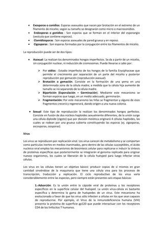 · Exosporas o conidios: Esporas asexuales que nacen por brotación en el extremo de un 
filamento de micelio; según su tamaño se designarán como micro o macroconidios. 
· Endosporas o gonidios : Son esporas que se forman en el interior del esporangio 
(vesícula que contiene esporas). 
· Clamidiosporas : Son esporas asexuales de pared gruesa y en reposo. 
· Cigosporas : Son esporas formadas por la conjugación entre los filamentos de micelio. 
La reproducción puede ser de dos tipos: 
· Asexual: La realizan los denominados hongos imperfectos. Se da a partir de un micelio, 
sin conjugación nuclear, ni reducción de cromosomas. Puede llevarse a cabo por: 
 Por oídios : Estadio imperfecto de los hongos de la familia Erysiphaceae que 
permite el crecimiento por separación de un parte del micelio y posterior 
reproducción por gemación (reproducción asexual). 
 Brotación o gemación. Consiste en la formación de una yema en una 
determinada zona de la célula madre; a medida que la célula hija aumente de 
tamaño se irá separando de la célula madre. 
 Bipartición (Esporulación – Germinación). Mediante este mecanismo se 
forman esporas que luego, en un medio adecuado, germinarán. 
 Fragmentación: Por este mecanismo las hifas se fragmentan y alguno de esos 
fragmentos crecerá y regenerará, dando origen a una nueva colonia. 
· Sexual: Este tipo de reproducción la realizan los denominados hongos perfectos. 
Consiste en fusión de dos núcleos haploides sexualmente diferentes, de la unión surge 
una célula diploide (zigoto) que por división meiótica originará 4 células haploides, las 
cuales se rodean por una gruesa cubierta constituyendo las esporas (ej. zigosporas, 
ascosporas, oosporas). 
Virus 
Los virus se reproducen por replicación viral. Los virus carecen de metabolismo y se comportan 
como partículas inertes en medios inanimados, pero dentro de las células susceptibles, el ácido 
nucleico viral emplea los mecanismos de biosíntesis celular para replicarse e inducir la síntesis 
de proteínas específicas que posteriormente se integrarán al genoma replicado para originar 
nuevos organismos, los cuales se liberarán de la célula huésped para luego infectar otras 
células. 
Los virus en las células tienen un objetivo básico: producir copias de sí mismos en gran 
cantidad sirviéndose de la maquinaria que tiene una célula viva para los procesos de 
transcripción, traducción y replicación. El ciclo reproductivo de los virus varía 
considerablemente entre las especies, pero siempre están presentes seis etapas básicas: 
1.-Adsorción. Es la unión entre la cápside viral de proteínas y los receptores 
específicos en la superficie celular del huésped. La unión virus-célula es bastante 
específica y determina la gama de huéspedes de un virus. Este mecanismo ha 
evolucionado a favor de que los virus sólo infecten a células en los que sean capaces 
de reproducirse. Por ejemplo, el Virus de la inmunodeficiencia humana (VIH) 
presenta la proteína de superficie gp120 que puede interactuar con los receptores 
CD4 de los linfocitos T humanos. 
 