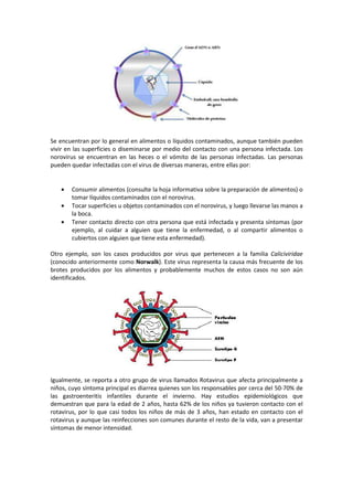 Se encuentran por lo general en alimentos o líquidos contaminados, aunque también pueden 
vivir en las superficies o diseminarse por medio del contacto con una persona infectada. Los 
norovirus se encuentran en las heces o el vómito de las personas infectadas. Las personas 
pueden quedar infectadas con el virus de diversas maneras, entre ellas por: 
· Consumir alimentos (consulte la hoja informativa sobre la preparación de alimentos) o 
tomar líquidos contaminados con el norovirus. 
· Tocar superficies u objetos contaminados con el norovirus, y luego llevarse las manos a 
la boca. 
· Tener contacto directo con otra persona que está infectada y presenta síntomas (por 
ejemplo, al cuidar a alguien que tiene la enfermedad, o al compartir alimentos o 
cubiertos con alguien que tiene esta enfermedad). 
Otro ejemplo, son los casos producidos por virus que pertenecen a la familia Caliciviridae 
(conocido anteriormente como Norwalk). Este virus representa la causa más frecuente de los 
brotes producidos por los alimentos y probablemente muchos de estos casos no son aún 
identificados. 
Igualmente, se reporta a otro grupo de virus llamados Rotavirus que afecta principalmente a 
niños, cuyo síntoma principal es diarrea quienes son los responsables por cerca del 50-70% de 
las gastroenteritis infantiles durante el invierno. Hay estudios epidemiológicos que 
demuestran que para la edad de 2 años, hasta 62% de los niños ya tuvieron contacto con el 
rotavirus, por lo que casi todos los niños de más de 3 años, han estado en contacto con el 
rotavirus y aunque las reinfecciones son comunes durante el resto de la vida, van a presentar 
síntomas de menor intensidad. 
 