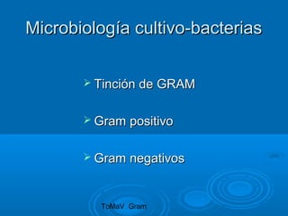 Microbiología cultivo-bacterias

        Tinción de GRAM


        Gram   positivo

        Gram   negativos


         ToMaV Gram
 