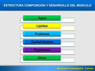 Here comes your footer
ESTRÚCTURA COMPOSICIÓN Y DESARROLLO DEL MÚSCULO
Seminario Investigativo: Carnes.
Agua
Lípidos
Proteínas
Carbohidratos
Pigmentos
Otros
 