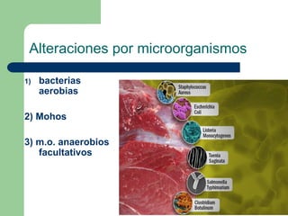 Alteraciones por microorganismos
1) bacterias
aerobias
2) Mohos
3) m.o. anaerobios
facultativos
 