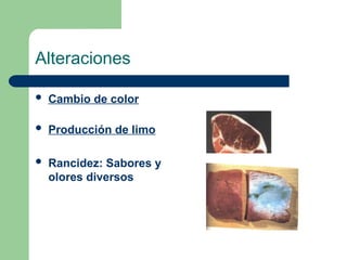 Alteraciones
 Cambio de color
 Producción de limo
 Rancidez: Sabores y
olores diversos
 
