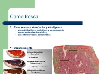 Carne fresca
 Pseudomonas, Aerobacter y Alcalígenes.
– aminoácidos libres, nucleótidos y peptonas de la
sangre sustancias de mal olor y
– consistencia viscosa característica.
 Oscurecimiento
 