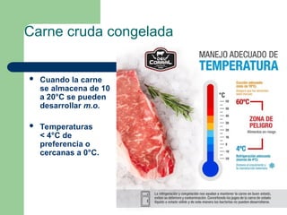 Carne cruda congelada
 Cuando la carne
se almacena de 10
a 20°C se pueden
desarrollar m.o.
 Temperaturas
< 4°C de
preferencia o
cercanas a 0°C.
 