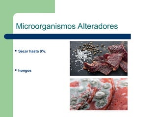 Microorganismos Alteradores
 Secar hasta 9%.
 hongos
 