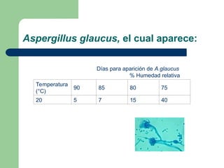 Aspergillus glaucus, el cual aparece:
Días para aparición de A.glaucus
% Humedad relativa
Temperatura
(°C)
90 85 80 75
20 5 7 15 40
 