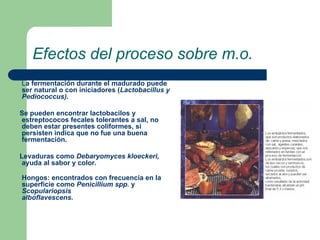Efectos del proceso sobre m.o.
La fermentación durante el madurado puede
ser natural o con iniciadores (Lactobacillus y
Pediococcus).
Se pueden encontrar lactobacilos y
estreptococos fecales tolerantes a sal, no
deben estar presentes coliformes, si
persisten indica que no fue una buena
fermentación.
Levaduras como Debaryomyces kloeckeri,
ayuda al sabor y color.
Hongos: encontrados con frecuencia en la
superficie como Penicillium spp. y
Scopulariopsis
alboflavescens.
 