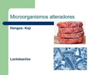 Microorganismos alteradores
Hongos: Koji
Lactobacilos
 