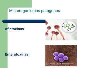 Microorganismos patógenos
Aflatoxinas
Enterotoxinas
 