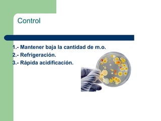Control
1.- Mantener baja la cantidad de m.o.
2.- Refrigeración.
3.- Rápida acidificación.
 