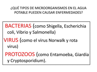 ¿QUÉ TIPOS DE MICROORGANISMOS EN EL AGUA
POTABLE PUEDEN CAUSAR ENFERMEDADES?

BACTERIAS (como Shigella, Escherichia
coli, Vibrio y Salmonella)

VIRUS (como el virus Norwalk y rota
virus)

PROTOZOOS (como Entamoeba, Giardia
y Cryptosporidium).

 