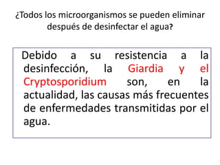 ¿Todos los microorganismos se pueden eliminar
después de desinfectar el agua?

Debido a su resistencia a la
desinfección, la Giardia y el
Cryptosporidium
son,
en
la
actualidad, las causas más frecuentes
de enfermedades transmitidas por el
agua.

 