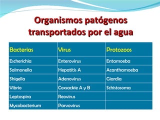 Microbiología del agua | PPT
