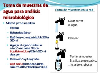Toma de muestras de agua para análisis microbiológico <ul><li>Material para el muestreo </li></ul><ul><ul><li>Frascos  </l...