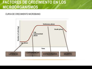 FACTORES DE CRECIMIENTO EN LOS
MICROORGANISMOS
CURVA DE CRECIMIENTO MICROBIANO
LATENCIA
EXPONENCIA
L
ESTACIONARIA MUERTE
 