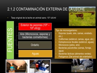 2.1.2 CONTAMINACIÓN EXTERNA DE LA LECHE
• Tasa original de la leche en animal sano: 103 ufc/ml
FUENTES
Exterior de pezones (108 –
109 ufc/g)
Aire (Micrococos, esporas y
bacterias corineformes)
Ordeño
Aguas
Tipo de microorganismo:
- Esporas (suelo, aire, camas, ensilado,
etc.)
- Coliformes (estiércol, camas, agua, etc.)
- Estreptococos fecales (estiércol, aguas)
- Micrococos (pelos, aire)
- Bacterias psicotrofas (camas, forraje,
agua)
- Bacterias lácticas (alimentos verdes)
- Patógenos (Del animal del ordeñador)
 
