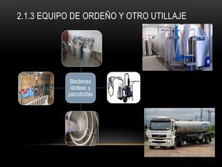 2.1.3 EQUIPO DE ORDEÑO Y OTRO UTILLAJE
Bacterias
lácteas y
psicotrofas
 