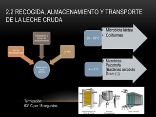 2.2 RECOGIDA, ALMACENAMIENTO Y TRANSPORTE
DE LA LECHE CRUDA
Multiplicación
de las
bacterias
Tipo de
microbiota inicial
Temperatura y
tiempo de
almacenamiento
La tasa
• Microbiota láctea
• Coliformes
25 – 30°C
• Microbiota
Psicotrofa
(Bacterias aerobias
Gram (-))
4 – 5°C
Termización:
63° C por 15 segundos
 