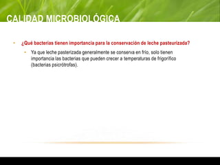 CALIDAD MICROBIOLÓGICA
• ¿Qué bacterias tienen importancia para la conservación de leche pasteurizada?
• Ya que leche pasterizada generalmente se conserva en frío, solo tienen
importancia las bacterias que pueden crecer a temperaturas de frigorífico
(bacterias psicrótrofas).
 