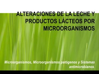 ALTERACIONES DE LA LECHE Y
PRODUCTOS LÁCTEOS POR
MICROORGANISMOS
Microorganismos, Microorganismos patógenos y Sistemas
antimicrobianos.
 