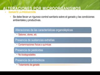 ALTERACIONES POR MICROORGANISMOS
• DURANTE LA PRODUCCIÓN
• Se debe llevar un riguroso control sanitario sobre el ganado y las condiciones
ambientales y productivas.
Alteraciones de las características organolépticas
• Sabores, olores, etc.
Presencia de sustancias extrañas
• Contaminaciones físicas o químicas
Presencia de pesticidas
• No biodegradables
Presencia de antibióticos
• Tratamiento de ganado
 