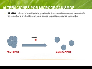 ALTERACIONES POR MICROORGANISMOS
• PROTEÓLISIS: es La hidrólisis de las proteínas lácticas por acción microbiana se acompaña
en general de la producción de un sabor amargo producido por algunos polipéptidos.
PROTEINAS AMINOACIDOS
E
 
