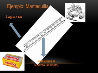  Agua o AW
Reducimos el
sustrato (alimento)
Ejemplo: Mantequilla
 