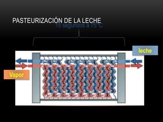 PASTEURIZACIÓN DE LA LECHE
leche
Vapor
15 segundos a 75°C
 