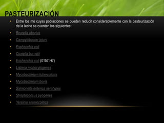 PASTEURIZACIÓN
• Entre los mo cuyas poblaciones se pueden reducir considerablemente con la pasteurización
de la leche se cuentan los siguientes:
• Brucella abortus
• Campylobacter jejuni
• Escherichia coli
• Coxiella burnetii
• Escherichia coli (0157:H7)
• Listeria monocytogenes
• Mycobacterium tuberculosis
• Mycobacterium bovis
• Salmonella enterica serotypes
• Streptococcus pyogenes
• Yersinia enterocolitica
 