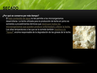SECADO
¿Por qué se conserva por más tiempo?
El bajo contenido de agua no les permite a los microorganismos
desarrollarse. La leche utilizada para la producción de leche en polvo es
sometida a procedimientos térmicos que destruyen todos los
microorganismos que pueden producir enfermedad y alterar la leche.
Las altas temperaturas a las que se la somete también inactiva a la
"lipasa", enzima responsable de la degradación de las grasas de la leche.
 
