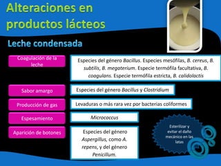 Coagulación de la
leche
Especies del género Bacillus. Especies mesófilas, B. cereus, B.
subtilis, B. megaterium. Especie termófila facultativa, B.
coagulans. Especie termófila estricta, B. calidolactis
Sabor amargo Especies del género Bacillus y Clostridium
Producción de gas Levaduras o más rara vez por bacterias coliformes
Espesamiento Micrococcus
Aparición de botones Especies del género
Aspergillus, como A.
repens, y del género
Penicillum.
Esterilizar y
evitar el daño
mecánico en las
latas
 