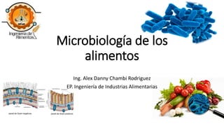 Microbiología de los
alimentos
Ing. Alex Danny Chambi Rodriguez
EP. Ingeniería de Industrias Alimentarias
 