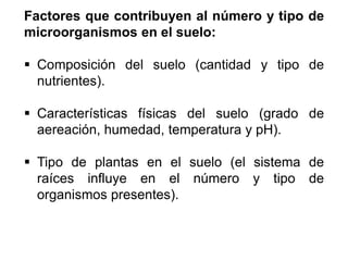 Factores que contribuyen al número y tipo de
microorganismos en el suelo:
 Composición del suelo (cantidad y tipo de
nutrientes).
 Características físicas del suelo (grado de
aereación, humedad, temperatura y pH).
 Tipo de plantas en el suelo (el sistema de
raíces influye en el número y tipo de
organismos presentes).
 