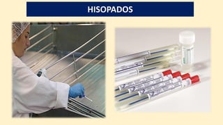 HISOPADOS
 