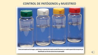 CONTROL DE PATÓGENOS y MUESTREO
 
