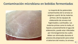 Contaminación microbiana en bebidas fermentadas
La mayoría de los potenciales
contaminantes de la cerveza se
originan a partir de las materias
primas y de los equipos de
elaboración de cerveza mal
higienizados y sanitizados. Las
materias primas como la malta, el
lúpulo y ocasionalmente el agua de
elaboración, puede estar infectadas
por microorganismos los cuales
deben ser eliminados durante el
proceso de preparación para evitar
el deterioro del mosto y la cerveza.
 