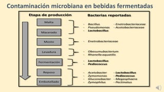 Contaminación microbiana en bebidas fermentadas
 